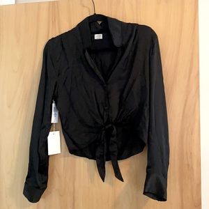 100% Silk Aritzia Button Up
